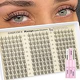 Goddvenus Natural Lash Clusters Kit Wispy Manga