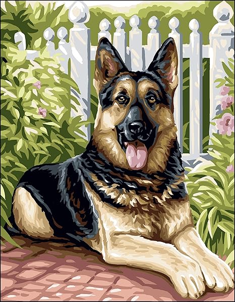 royal german shepherd