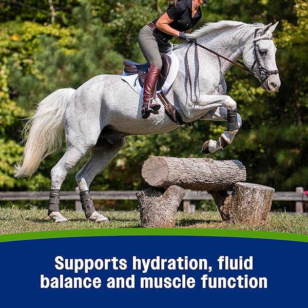FARNAM APPLE ELITE HORSE ELECTROLYTES POWDER SUPPLEMENT, REPLACES VITAL MINERALS, ENCOURAGES HYDRATION, SUGAR-FREE, CONTAINS SODIUM, POTASSIUM, CALCIUM & MAGNESIUM, APPLE FLAVORED, 5 LB