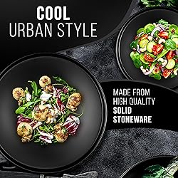 Stoneware Dinner Plates Set of 4, Stylish Matte