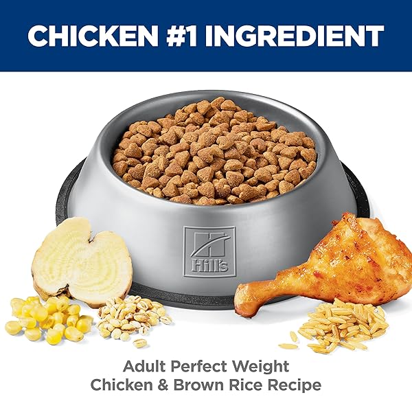 HILL’S SCIENCE DIET PERFECT WEIGHT, ADULT 1-6, WEIGHT MANAGEMENT SUPPORT, DRY DOG FOOD, CHICKEN & BROWN RICE, 12 LB. BAG