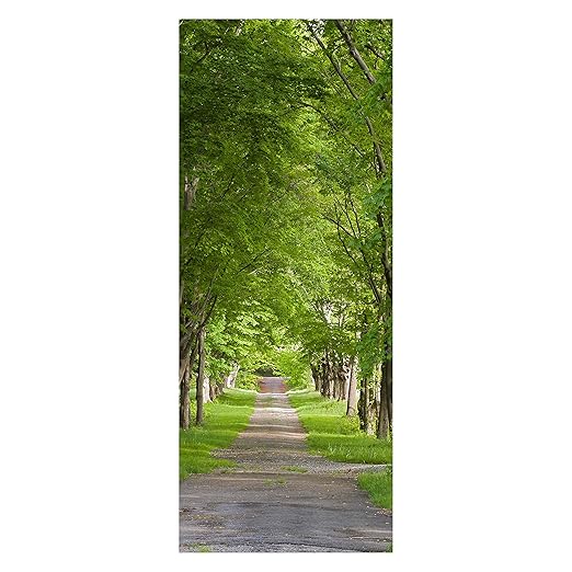 wandmotiv24 Türtapete Sommerallee Tapete Tür Türaufkleber Türbild Aufkleber 80 x 200cm (B x H) - Dekorfolie selbstklebend