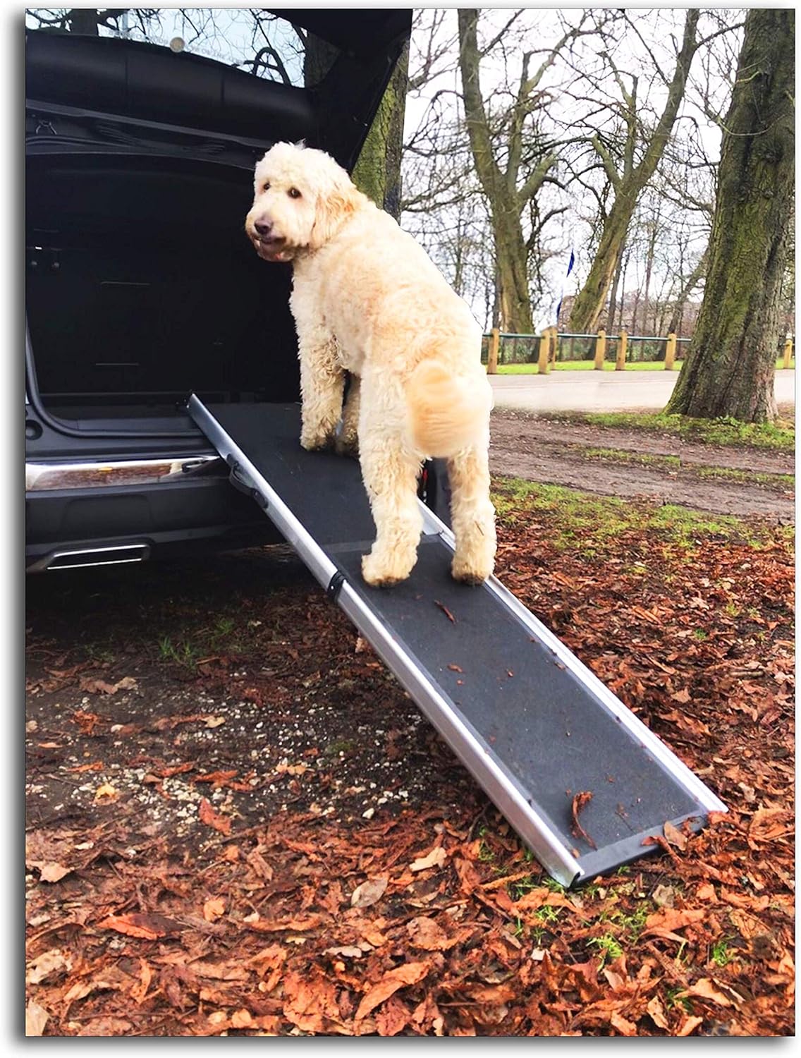 Hewitt And Blue Large Dog Car Ramp, Heavy Duty - Image 4