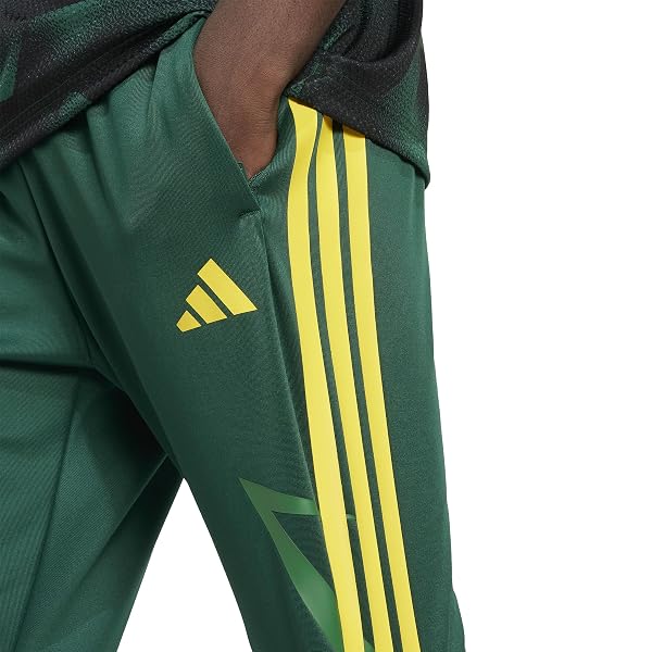 ADIDAS MEN’S HOUSE OF TIRO NATIONS PACK PANTS, COLLEGIATE GREEN/BLANCH CARGO/BOLD GOLD, LARGE