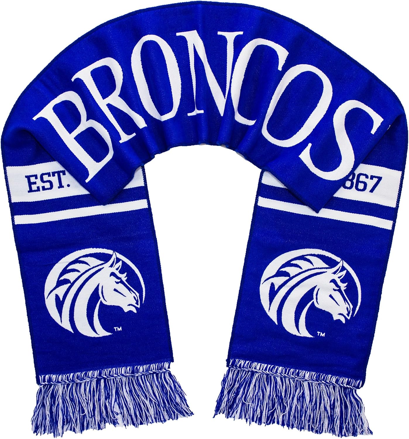 Amazon Com Tradition Scarves Fayetteville State Scarf Fsu