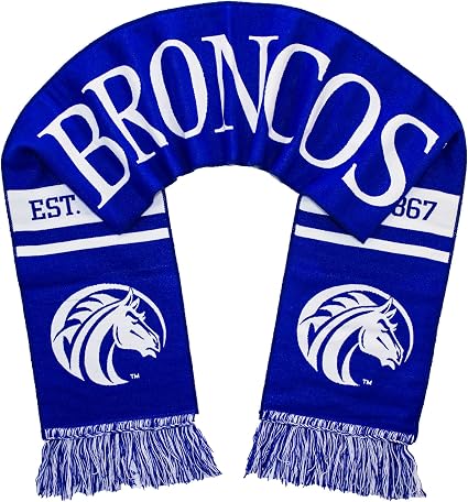 Amazon Com Tradition Scarves Fayetteville State Scarf Fsu
