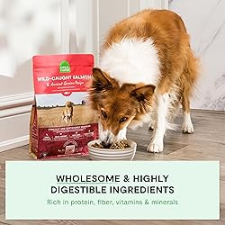 Open Farm, Ancient Grains Dry Dog