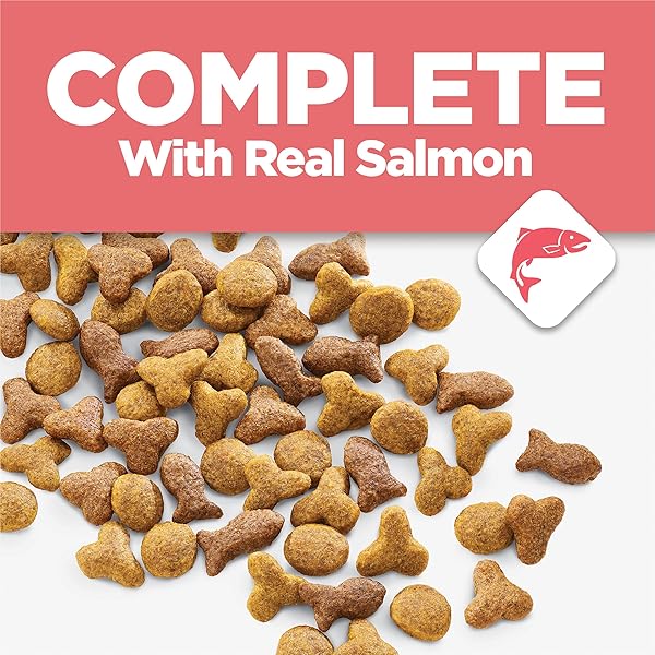 PURINA CAT CHOW COMPLETE HIGH PROTEIN DRY CAT FOOD WITH REAL SALMON – (PACK OF 4) 3.15 LB. BAGS