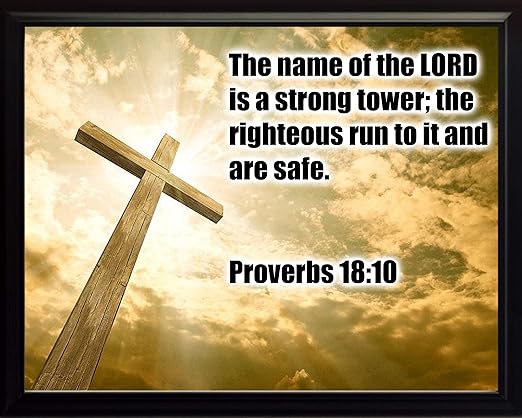 Amazon.com - Proverbs 18:10 Framed 8x10 Photo "The Name of the ...