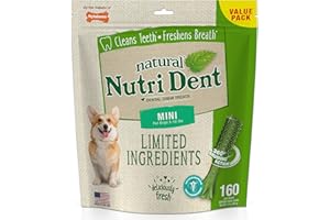 Nutri Dent Limited Ingredient Dental Dog Chews | Mini Size | Filet Mignon or Fresh Breath Flavors