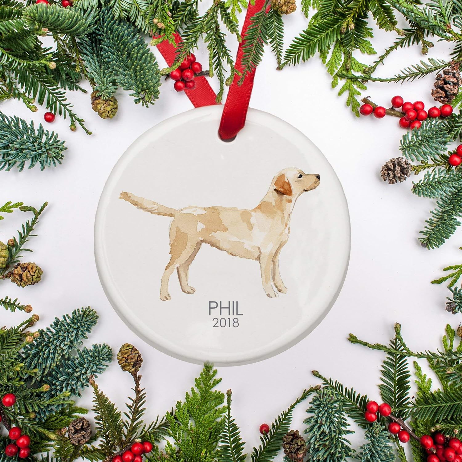 german shepherd short spine