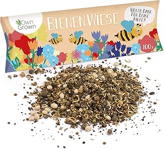 Bienenwiese Blumenmischung: 100g Premium Bienen Saatgut für bunte Bienenweide, Bienen und Hummelmagnet - bienenfreundliche Blumensamen Mischung ein- und mehrjährig - Blumenwiese Samen von OwnGrown