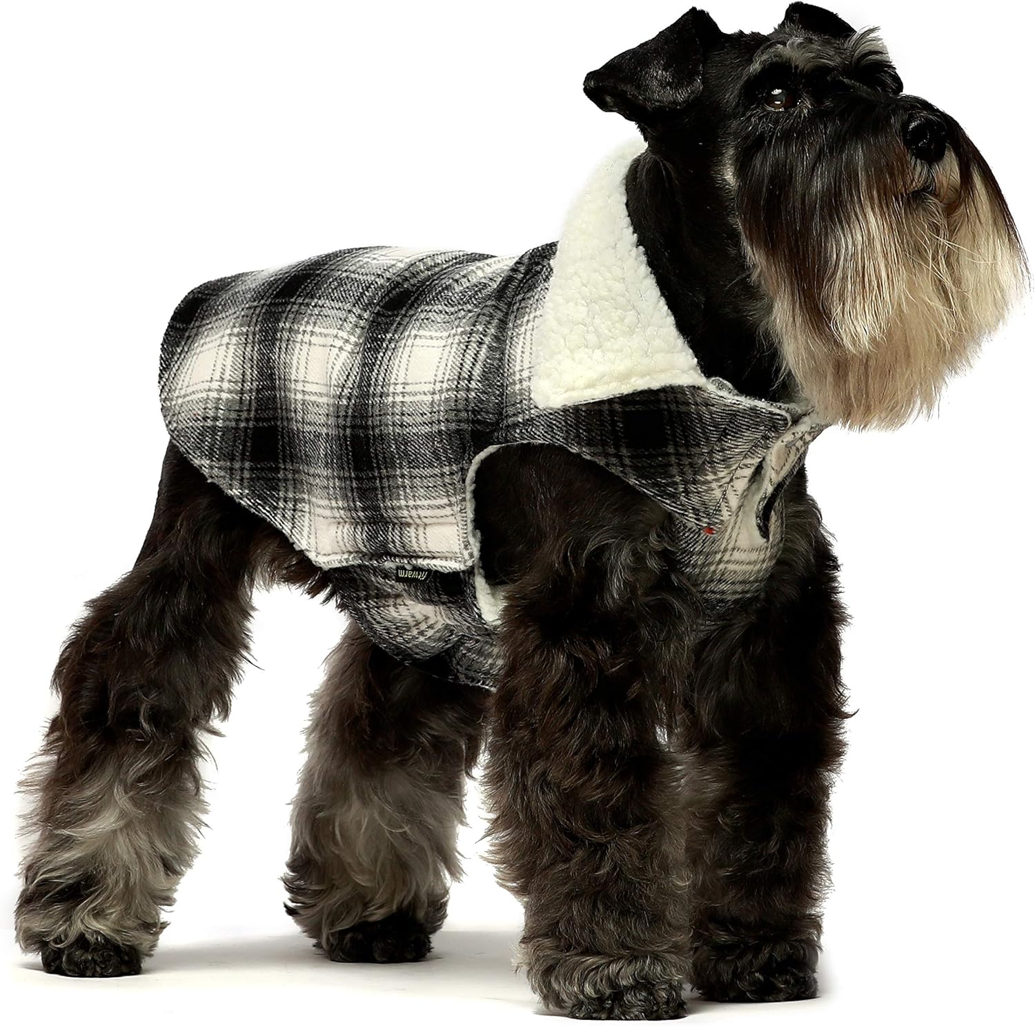 dog sherpa jacket
