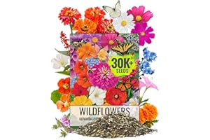Seed Needs Wildflower Seeds Butterfly and Hummingbird Seed Mix 2 Ounce No Filler | 23 Varieties Annual & Perennial Species Such as Butterfly Milkweed, Cosmos & Zinnia | Resealable Bulk Package