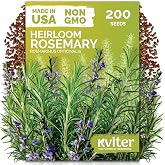 200 Rosemary Heirloom Herb Seeds for Planting, Rosmarinus Officinalis | Aromatic Evergreen Rosemary Seed Packets, Heirloom Seeds, Herb Seeds for Indoors and Outdoors, Herb Garden Beds, Containers