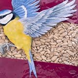 Extra Select Sunflower Hearts Bird Food Husk-Free Oil Rich 1 kg view 2
