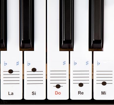 Autocollants Keysies Amovibles En Plastique Transparent Pour Touches De Piano Et Clavier Avec Guide Pratique Dinstallation
