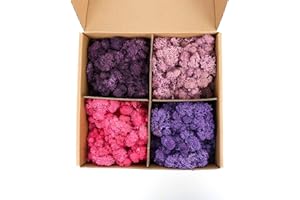Amoueterno Preserved 4 Color Reindeer Moss,Total 14OZ Each Color 3.5OZ, Natural Real Moss, DIY Kit Crafts Art Wall Decor Florist Decor,Purple