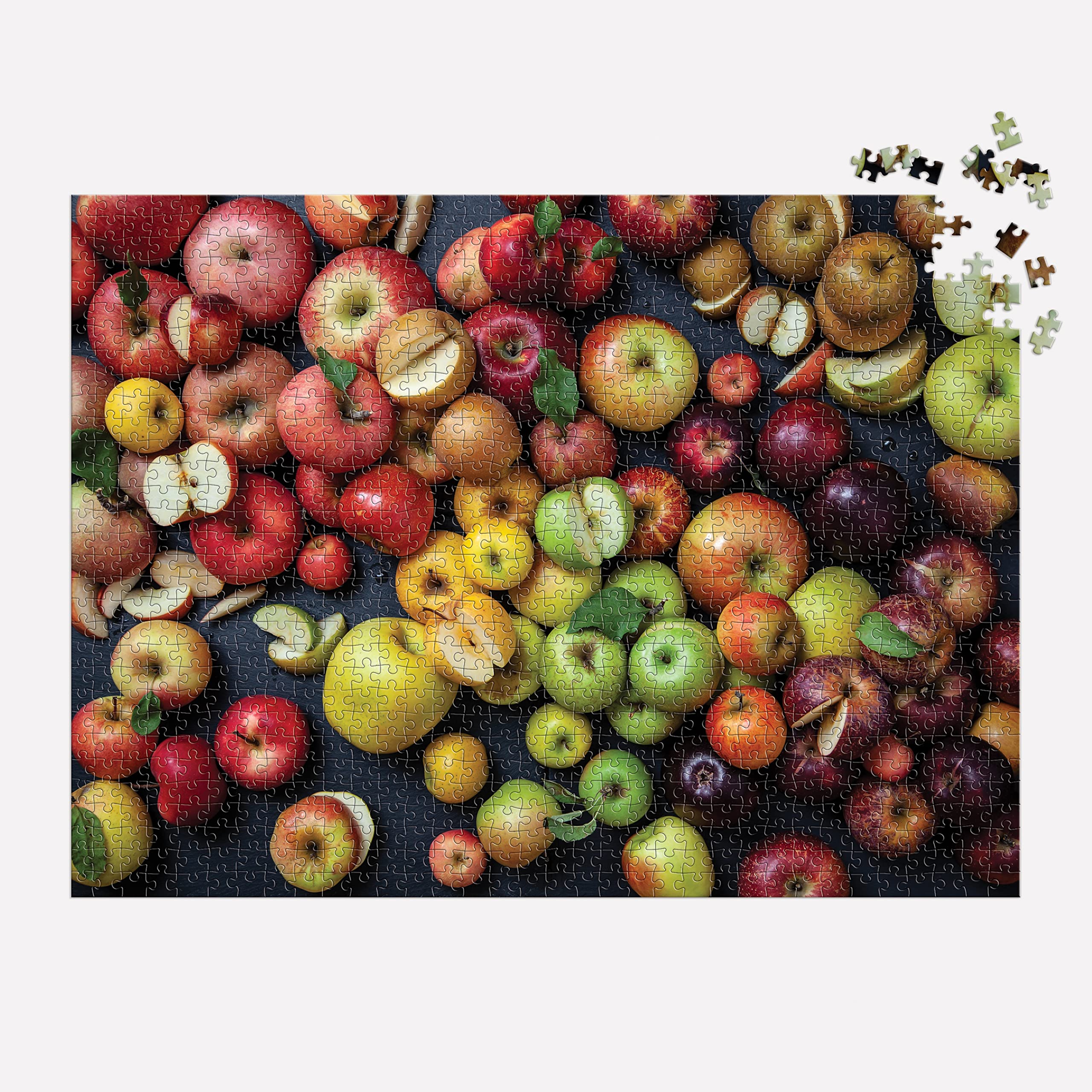 Galison Heirloom Apples 1000 Piece Puzzle from Galison - 27