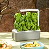 Click and Grow Basil Plant Pods 3-pack Smart Garden Brand New view 7