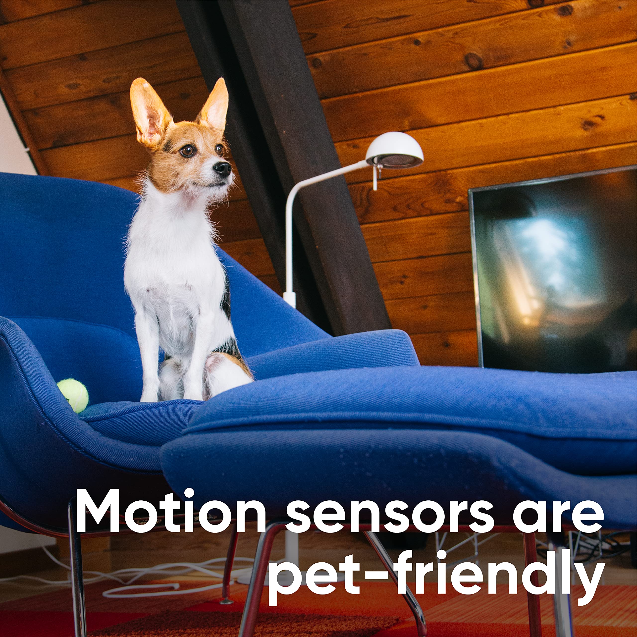 WYZE Home Security Core Kit: Hub, Keypad, Motion Sensor, Entry Sensors (x2); Compatible w/ Wyze Cam, Leak & Climate Sensors; 3 Mo. of 24/7 Professional Monitoring Service Incl., Subscription Required