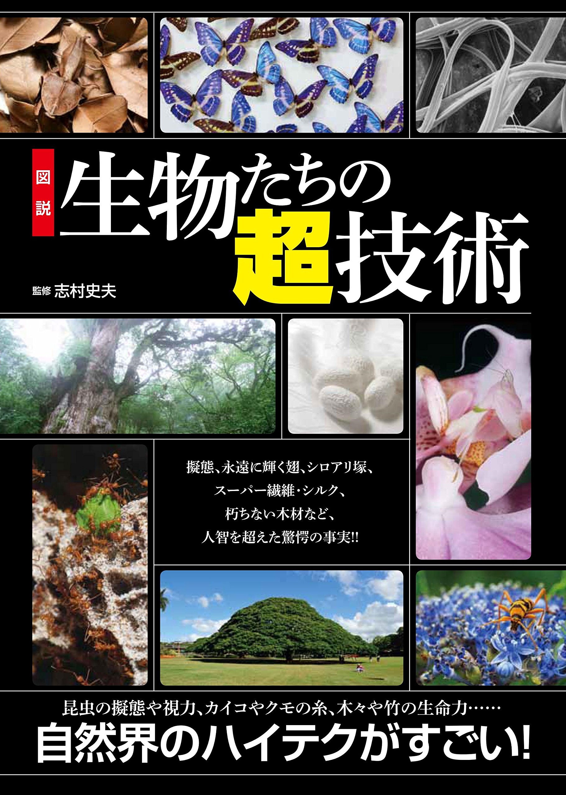 図説 生物たちの超技術 Amazon Com Books