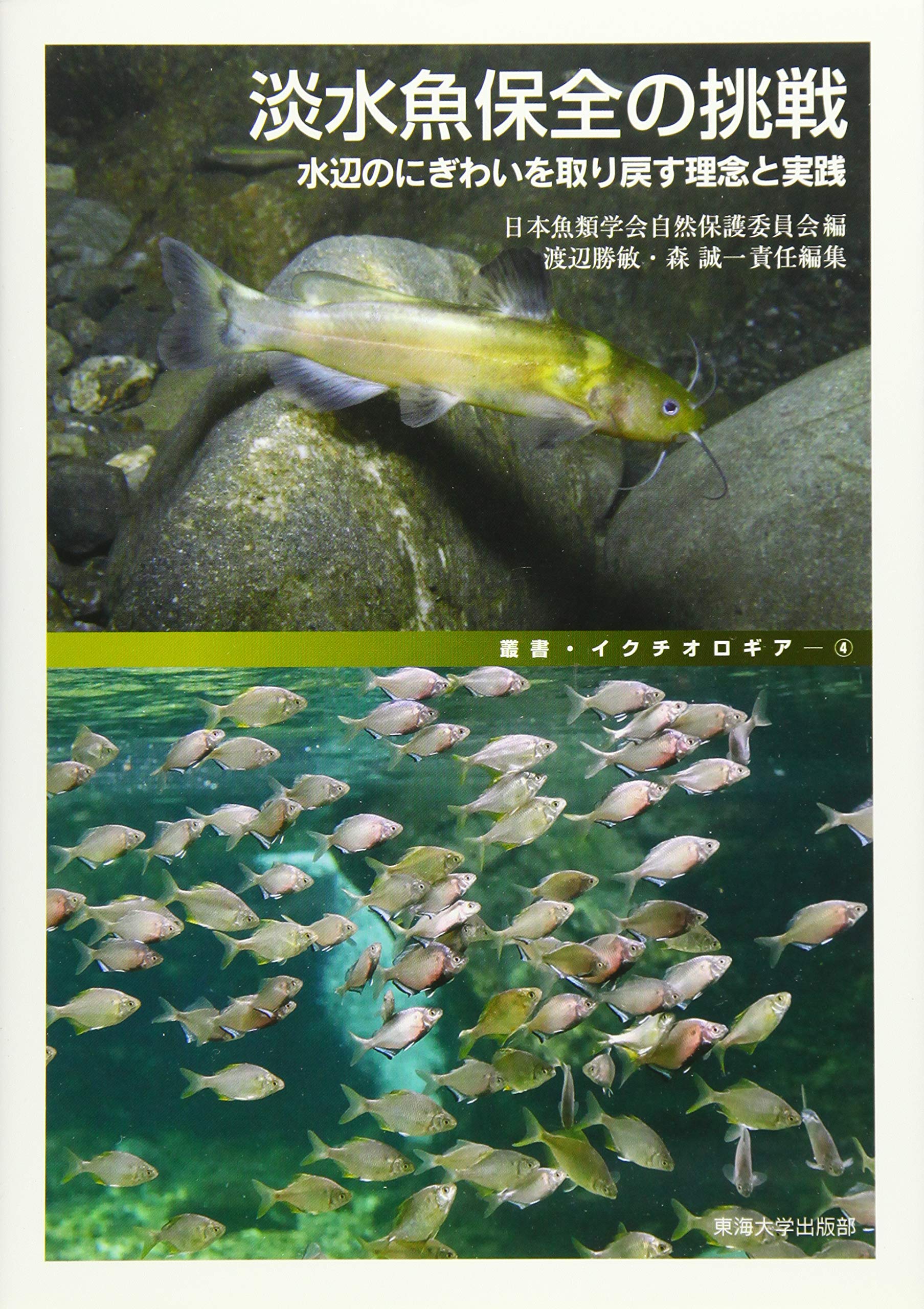 淡水魚保全の挑戦 水辺のにぎわいを取り戻す理念と実践 叢書 イクチオロギア 勝敏 渡辺 誠一 森 日本魚類学会自然保護委員会 本 通販 Amazon