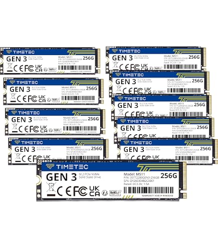 Amazon.com: Patriot P300 256GB Internal SSD - NVMe PCIe Gen 3x4