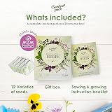 Garden Pack 12 Herb Seeds Variety 15000 Heirloom Seeds Starter Kit view 2