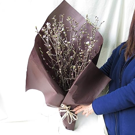 Amazon さくら サクラ 桜 花束 誕生日プレゼント女性に人気の花束 サンモクスイの手作り さくら花束約60 花束 オンライン通販 Amazon さくら サクラ 桜 花束 誕生日プレゼント女性に人気の花束 サンモクスイの手作り さくら花束約60 花束 オンライン通販