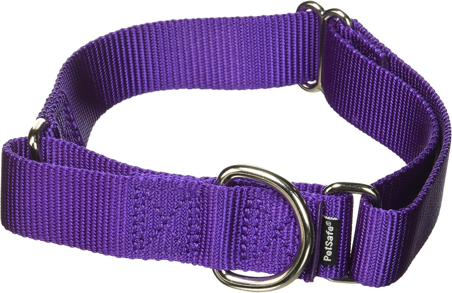 PetSafe Martingale Collar 1Inch Medium, Deep Purple Amazon.ca Pet