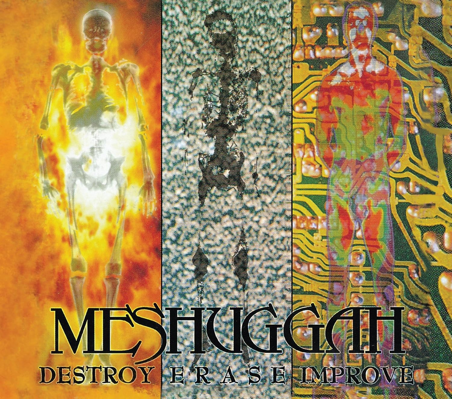 Destroy, Erase, Improve Album Art