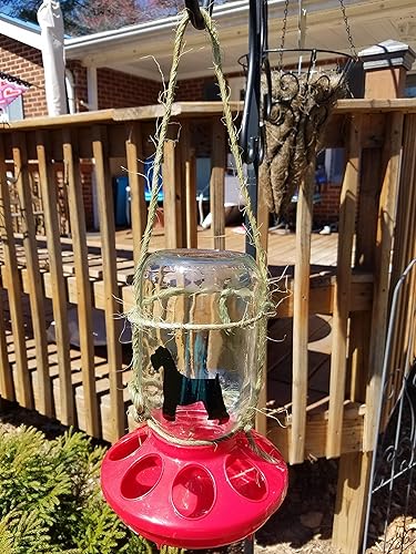 Amazon Com Mason Jar Bird Feeder Custom Design Handmade
