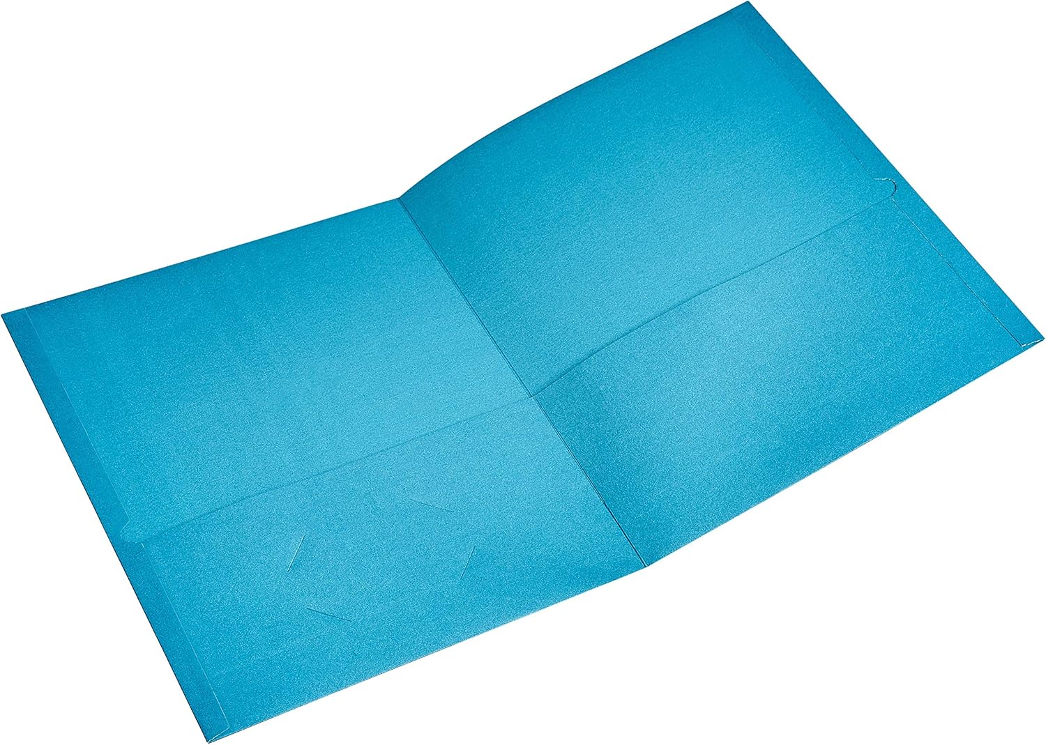 Basics Two Pocket Paper Portfolio, Assorted Colors, 10-Pack : Office Products