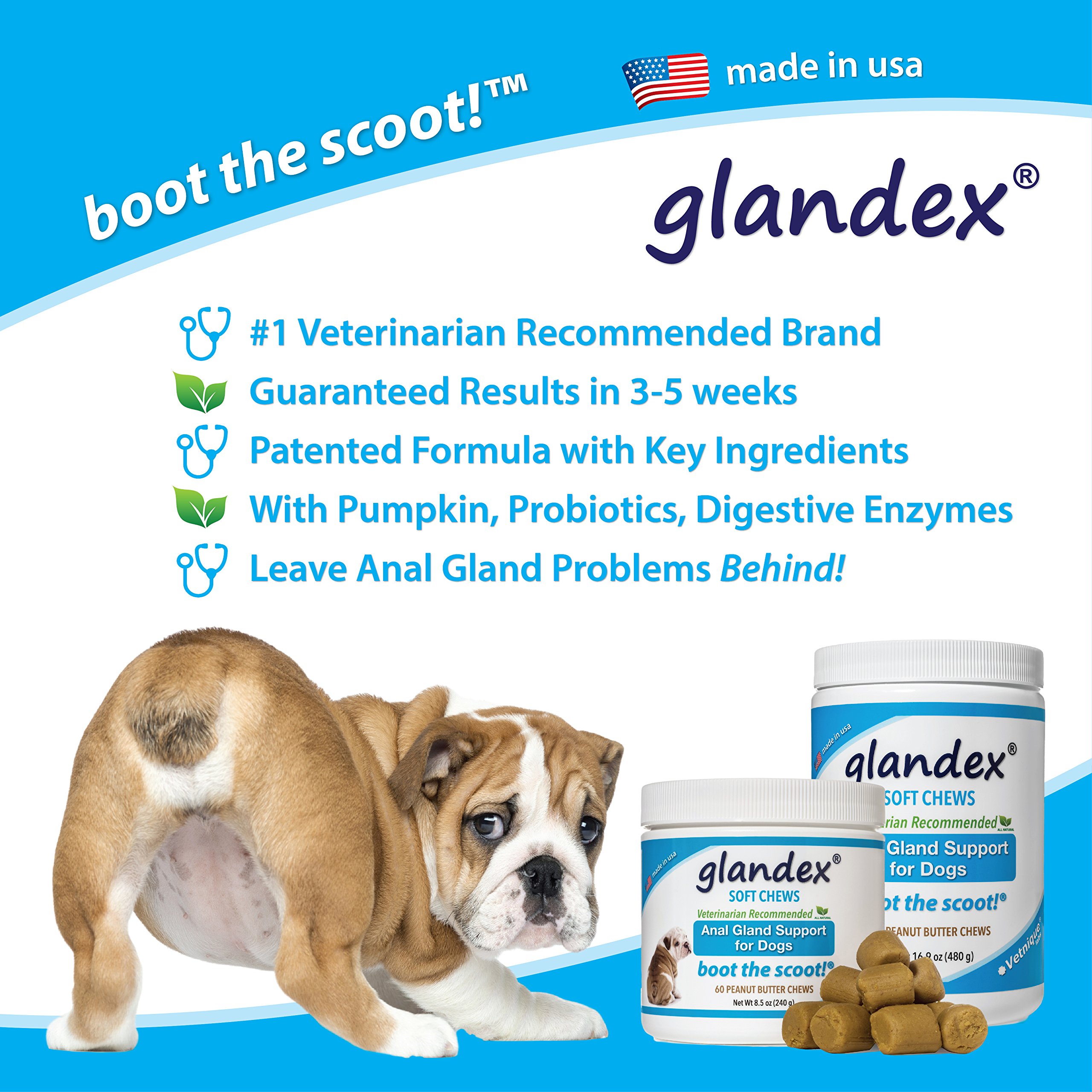 Glandex Soft Chew Treats for Dogs 60 ct With Fiber, Pumpkin