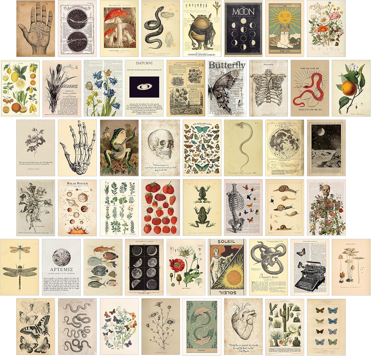Wall Décor - KOSKIMER 50PCS Vintage Wall Collage Kit Aesthetic Pictures, Posters, Cottagecore Room Decor for Bedroom Aesthetic, Cute Dorm Photo Collage for Teen Girls, Botanical Wall Art