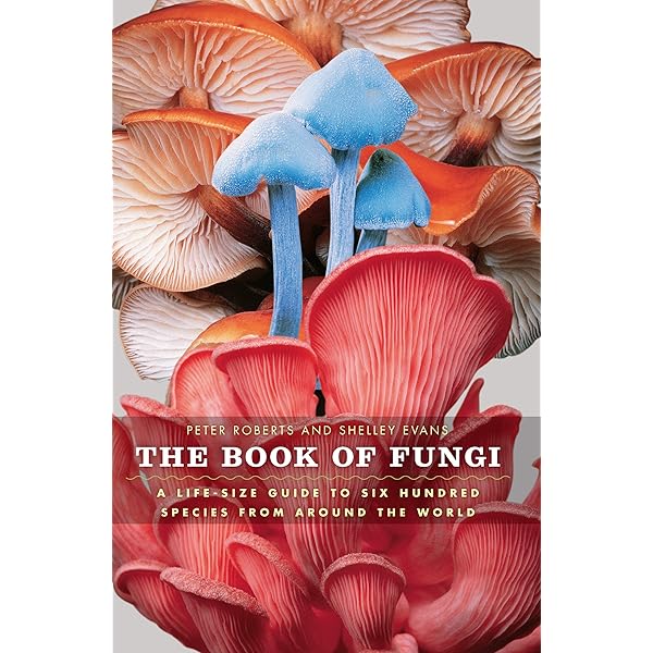 洋書 Mushrooms Amazon | Encyclopedia Of Mushrooms | Rh Value Publishing