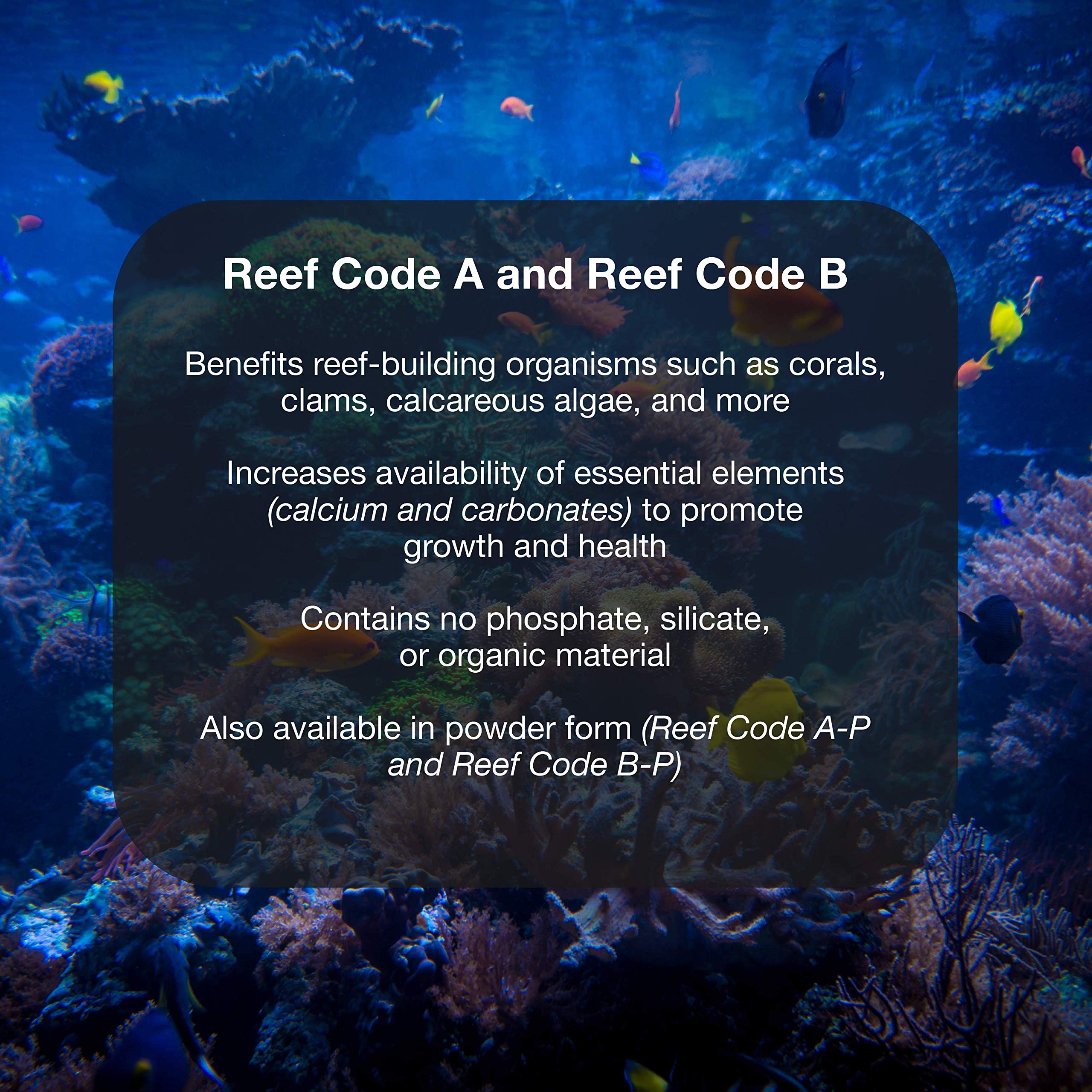 Mua Brightwell Aquatics - Reef Code B - Balanced Calcium & Alkalinity ...