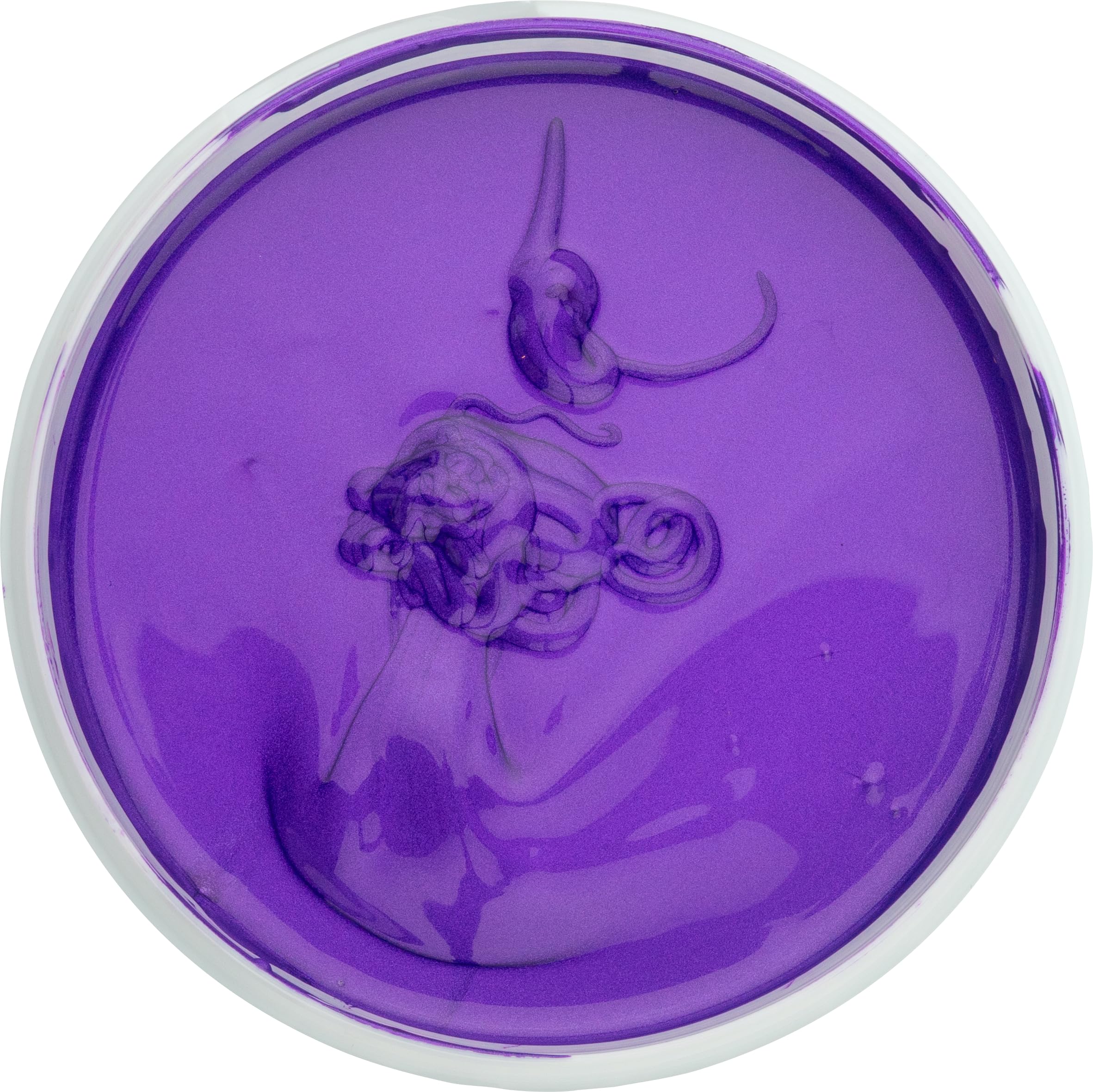 Perfectly Opaque Pearlescent Metallic Screen Printing Fabric Ink (Plum, 300g)