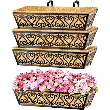 hanging blooming plants Ashman 12