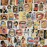 50pcs Sexy Girls Stickers for Adults,Pin Up Porn