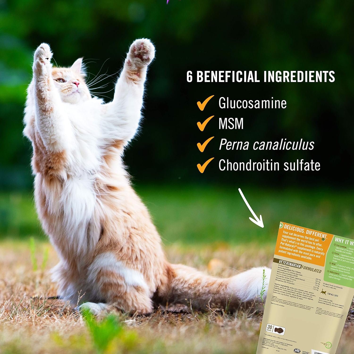 Pet Naturals - Hip + Joint for Cats, Daily Hip & Joint Support Supplement, 30 Chews : Pet Supplies