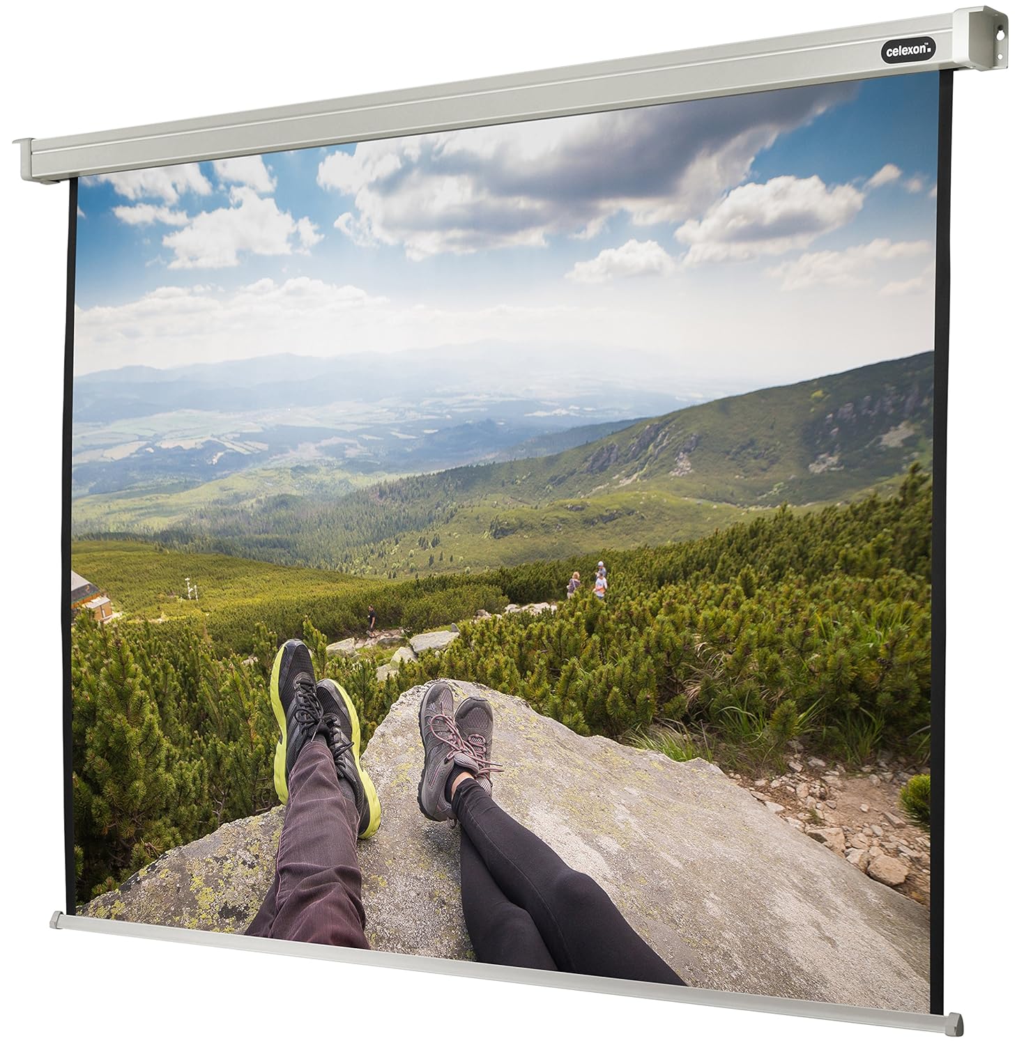 celexon Pantalla motorizada Incluido Mando a Distancia para ...