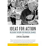 Ideas for Action: Relevant Theory for Radical Change