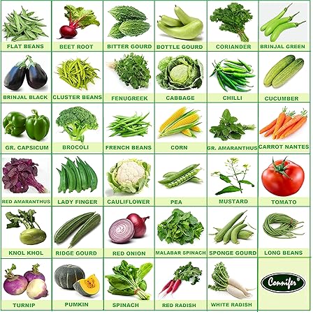Connifer Indian Vegetable Seeds Combo for Home Garden/Terrace Garden/Kitchen garden (35 VARIETY SEEDS COMBO)