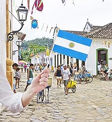 50 Pack Argentina Argentine Flags on Stick
