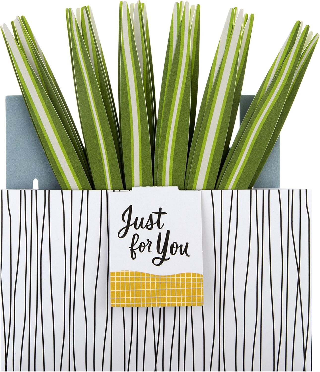 Hallmark Pop Up Card - Contemporary Spider Plant Design, General 3D Spider Plant, 16.5 cm by 13.7 cm - Image 5