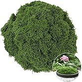 Fake Moss for Potted Plants,Green Moss for Crafts Artificial Floral Moss for Planters Green Moss Decor for DIY Table Centerpieces Faux Moss Filler for Indoor Outdoor Fairy Gardening Decor