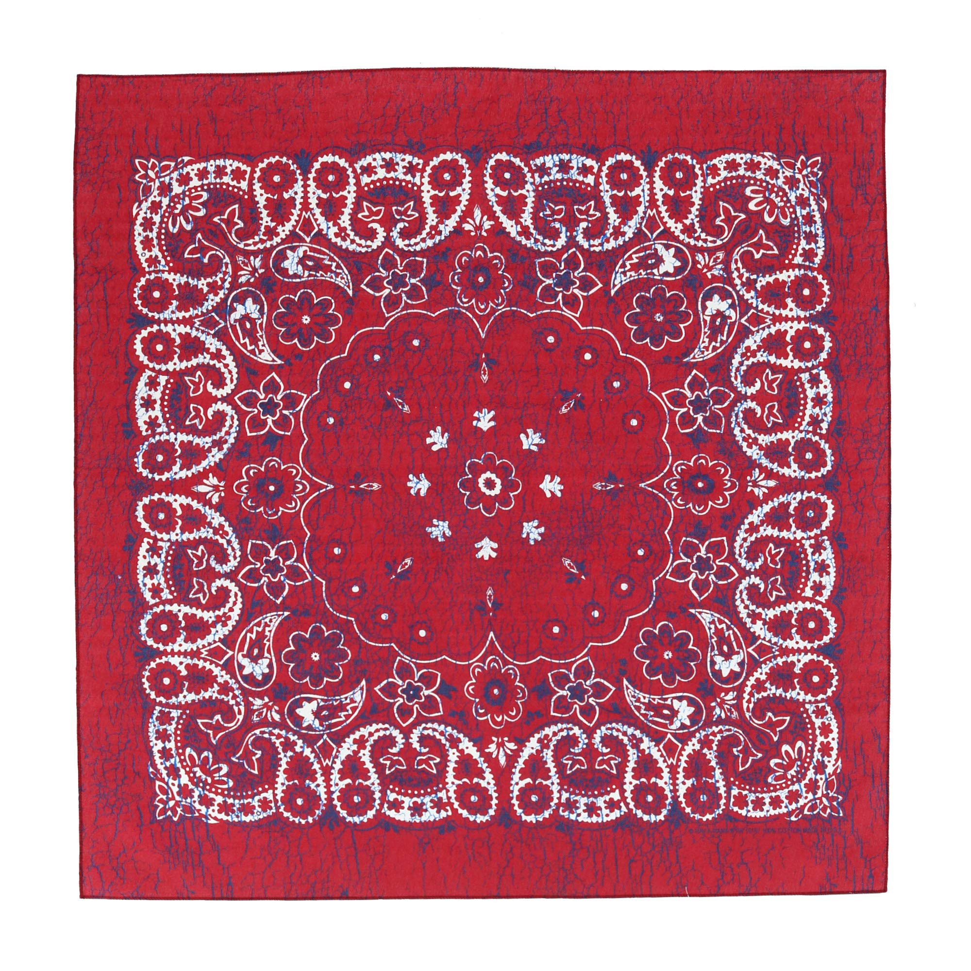 CTMExtra Large 27 Inch Rustic Paisley Print Bandana