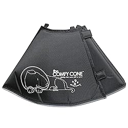 All Four Paws Comfy Cone Pet Cone for